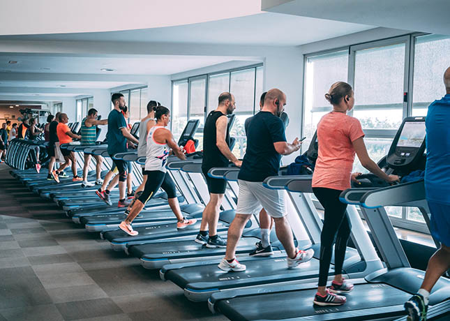 Zona Cardiovascular Gimnasio Aqua